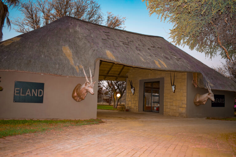 Eland Safaris 2 768x512