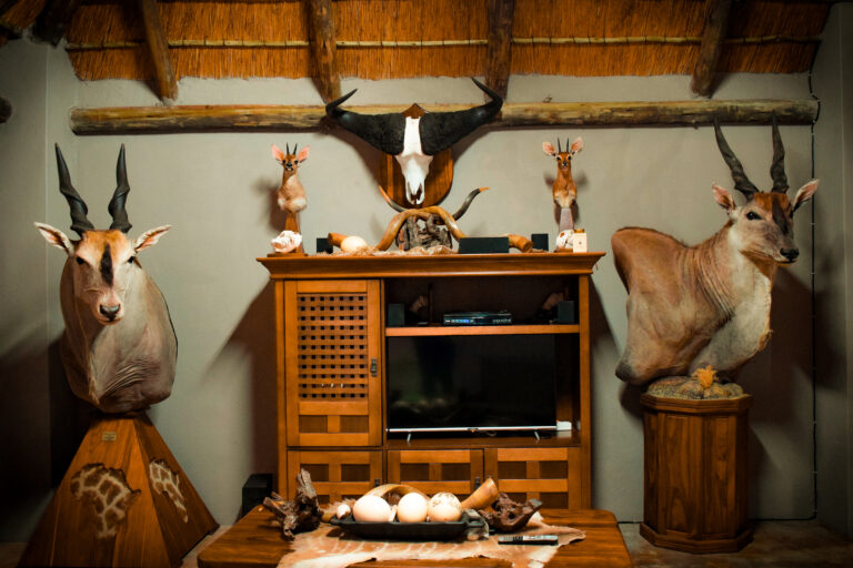 Eland Safaris 3 768x512