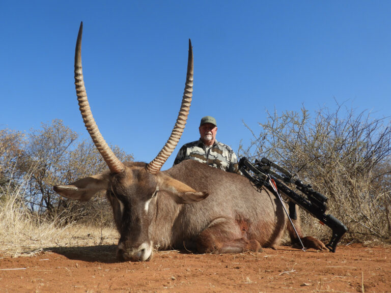 Eland Safaris 5 768x576