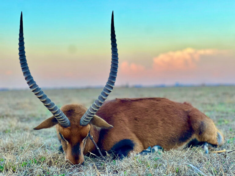 Kantanta Safaris 4 768x576