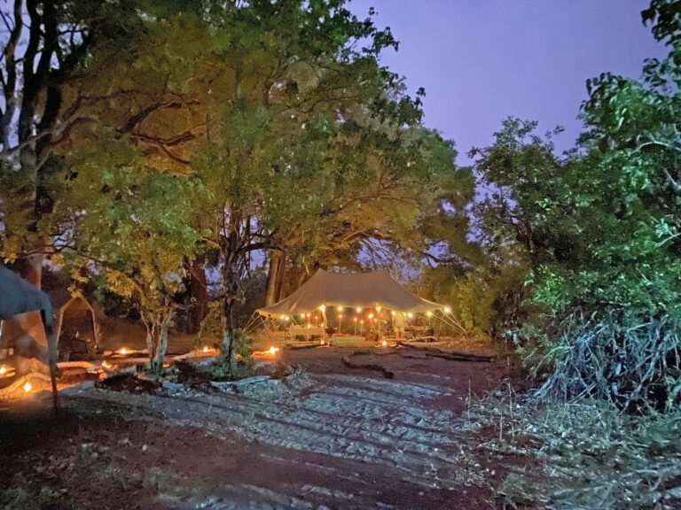 Spear Safaris 4 768x576