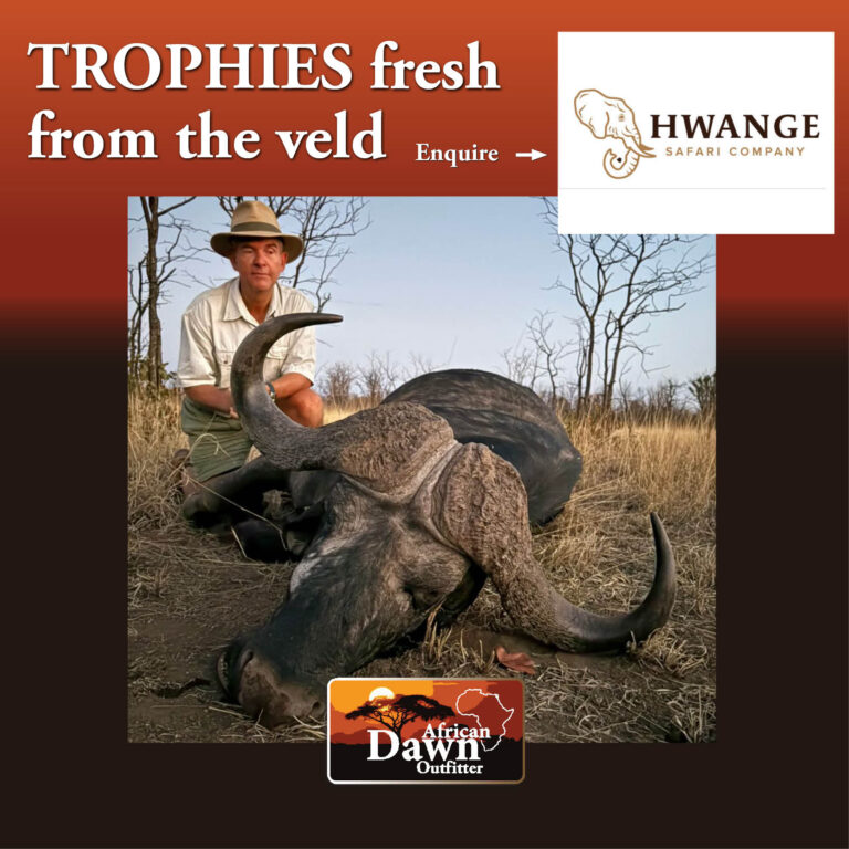 Hvanga Safaris1 768x768
