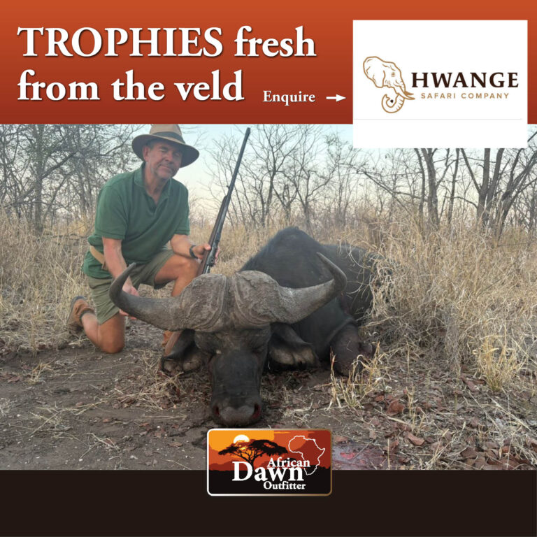 Hvanga Safaris2 768x768