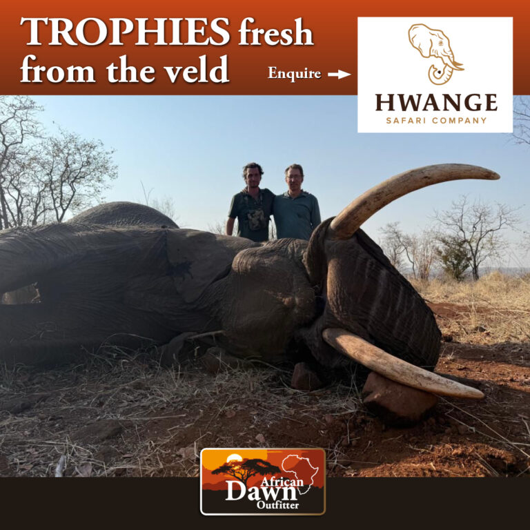 Hwange Safari Company HERO 768x768