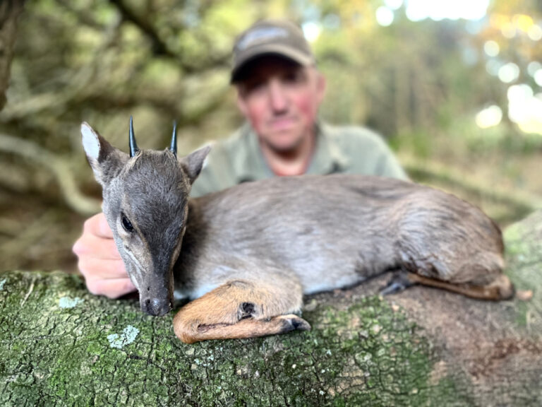Bushcat Safaris 10 768x576