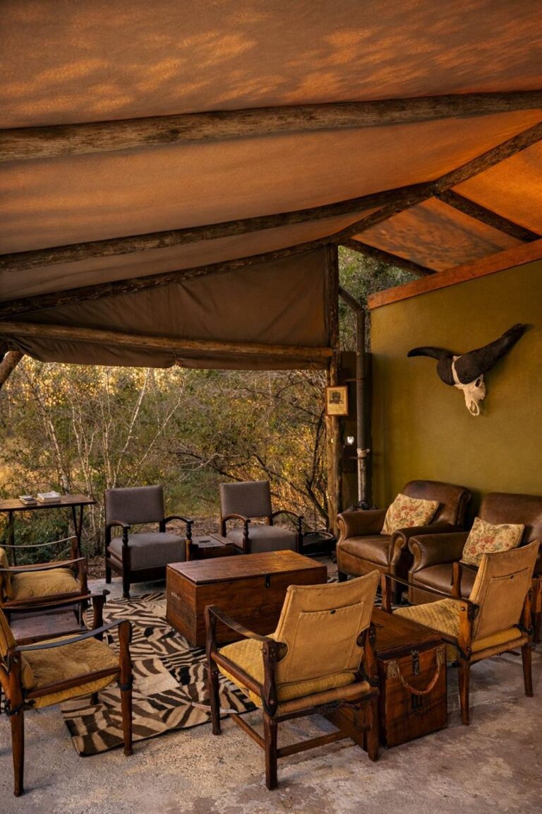 Bushcat Safaris 14 768x1152
